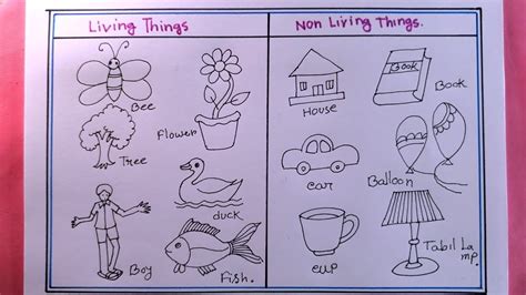 living things drawings|26 Draw Living Things ideas .